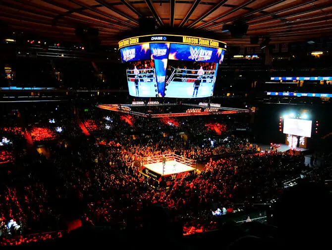 Билеты на рестлинг WWE в Нью-Йорке - Аудитория