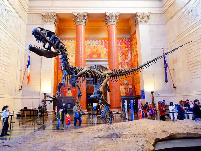 Американский музей естественной истории в Нью-Йорке - T Rex