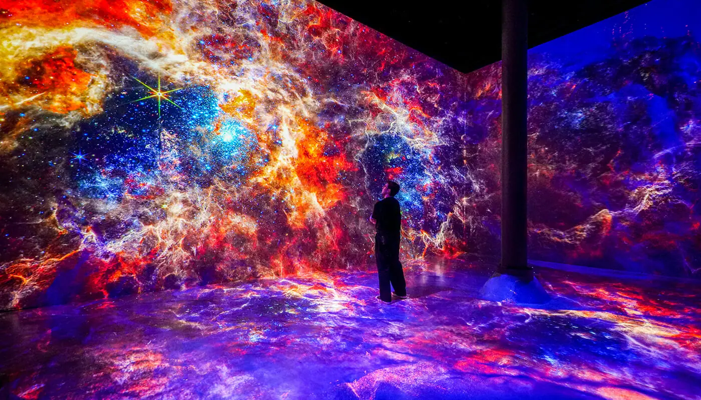 ARTECHOUSE в Нью-Йорке — выставка
