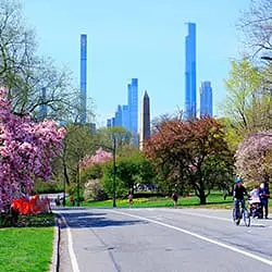 Центральный парк