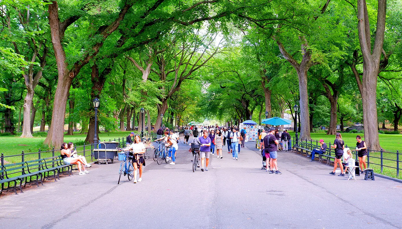 Маршрут по Нью-Йорку на 4 дня — исследуйте Central Park на велосипеде или пешком